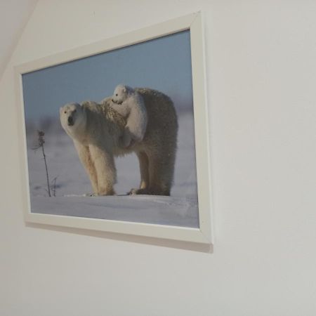 A 4 Min Du Zoo De Beauval La Maison A Partager Ch4 2Eme Etage 상테뇽 외부 사진