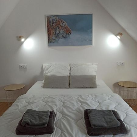 A 4 Min Du Zoo De Beauval La Maison A Partager Ch4 2Eme Etage 상테뇽 외부 사진