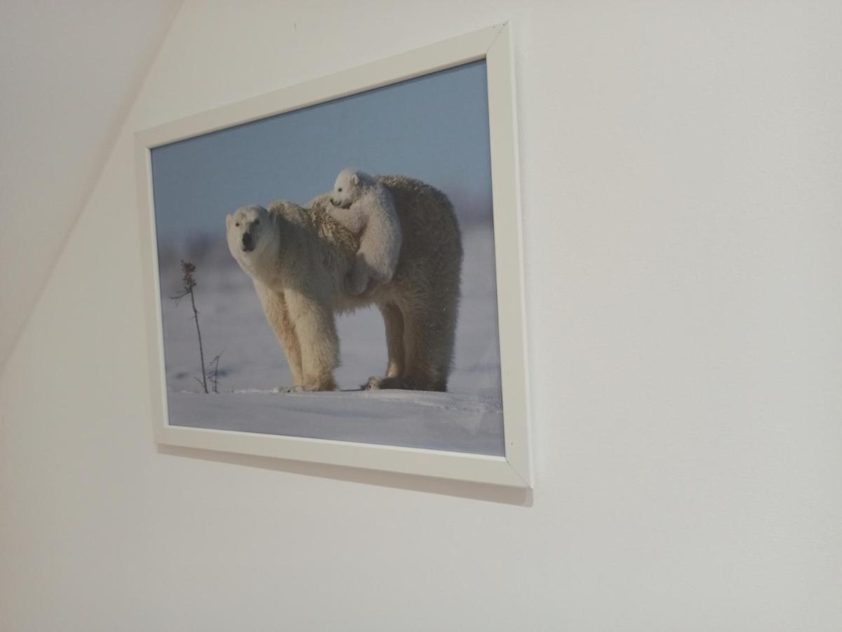 A 4 Min Du Zoo De Beauval La Maison A Partager Ch4 2Eme Etage 상테뇽 외부 사진