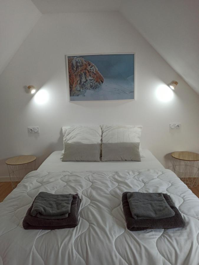 A 4 Min Du Zoo De Beauval La Maison A Partager Ch4 2Eme Etage 상테뇽 외부 사진